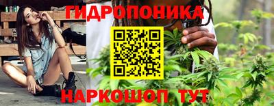 a pvp Можга