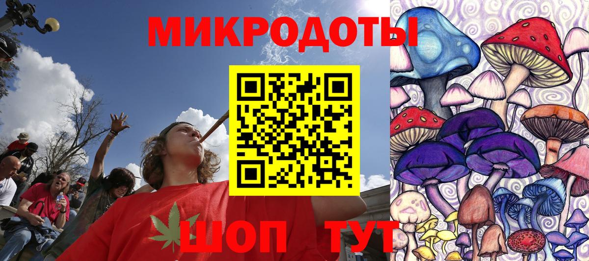 Псилоцибиновые грибы Psilocybine cubensis Волгоград