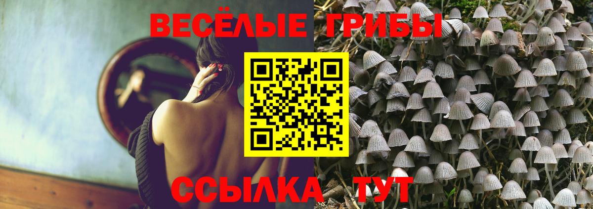 Псилоцибиновые грибы MAGIC MUSHROOMS  Вход с VPN  Волгоград  Псилоцибиновые грибы прущие грибы 