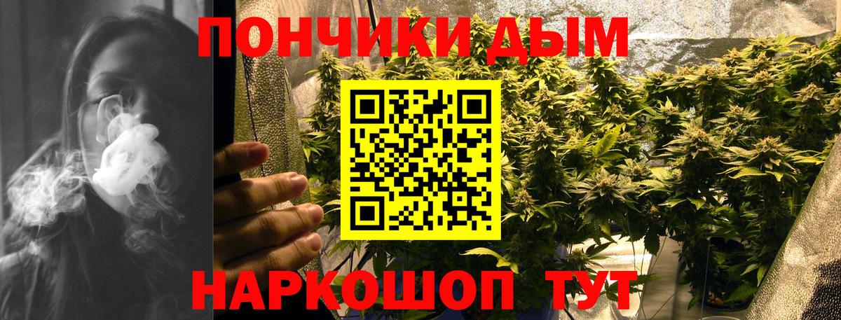 Бошки Шишки Ganja  Шишки марихуана VHQ  Волгоград  Вход с VPN  Бошки Шишки VHQ 