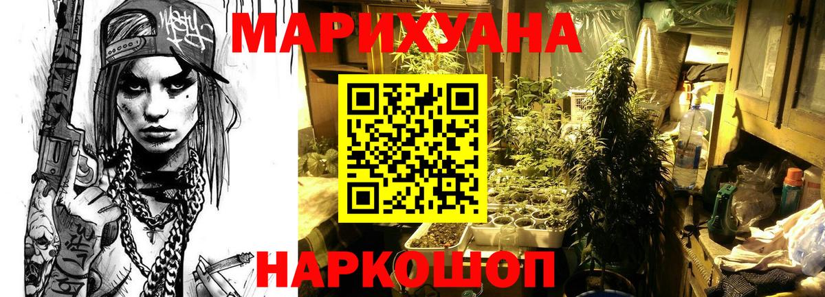 Шишки марихуана план Волгоград